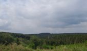 Tocht Stappen Martelange - Martelange, Radelange, Forêt d’Anlier - Photo 5