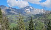 Tocht Mountainbike Le Grand-Bornand - Tour du Danay - Photo 8