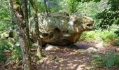 Tocht Stappen Fontainebleau - Fontainebleau Sentier Denecourt 1 prolongé - Photo 8