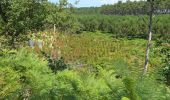 Excursión Senderismo Seignosse - les Landes  - Photo 10