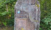 Trail Walking Urmatt - Lutzelhouse - sentier des géants - Photo 14