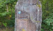 Tour Wandern Urmatt - Lutzelhouse - sentier des géants - Photo 14