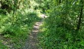 Trail Walking Boutigny-sur-Essonne - Boutigny-sur-Essonne  - Photo 2