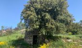 Trail Walking Clermont-l'Hérault - Oppidum de Clermont l’Hérault  - Photo 1