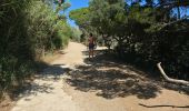 Tour Wandern Hyères - Petite rando  - Photo 5