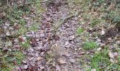Trail Walking Aywaille - Elfique 13km - Photo 2