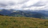 Trail Walking Prats-de-Mollo-la-Preste -  Siern Pregon Tours de Mir_T - Photo 6