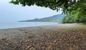 Tour Wandern Le Morne-Rouge - Le Morne-Rouge  -  Le  Carbet par Col Yang Ting - Photo 1