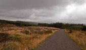 Percorso A piedi South Lakeland - Carron Crag Trail - Photo 8