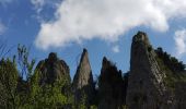 Excursión Senderismo Pennes-le-Sec - les lames de Pennes  - Photo 3