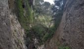 Tour Wandern Cheval-Blanc - Gorges du Regalon version longue ( hautes pleines ) - Photo 14