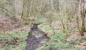 Randonnée Marche Bouillon - Les Hayons 110426 - Photo 15