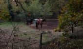 Trail Walking Romans-sur-Isère - Les Balmes - Photo 1