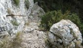 Trail Walking Saint-Rémy-de-Provence - St Rémy de Provence - Sentier des échelles du Mont Gaussier - Photo 2