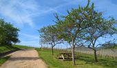 Trail Walking Saint-Hippolyte - St-Hippolyte - Rorschwihr - Grasberg - Bergheim - Reichenberg - Rodern - Photo 10