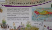 Trail Walking Mées - lp40_MEES Tourbieres le tour - Photo 6