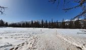 Trail Snowshoes Puy-Saint-Vincent - les têtes - Photo 4