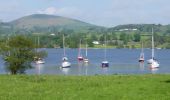 Randonnée A pied Eden - The Ullswater Way - Photo 9