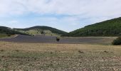 Tocht Stappen Les Omergues - Saint André de villeseche. la pyramide du moine  - Photo 3