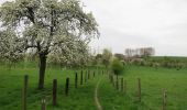 Trail On foot Bilzen - Alden Biesen Oranje kruis - Photo 2