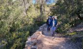 Randonnée Marche Nans-les-Pins - 