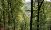 Tour Wandern Bouillon - Poupehan_Rochehaut_Frahan_Poupzhan - Photo 19