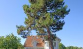 Trail Other activity Arcachon - Visite Ville d'hiver Arcachon - Photo 8