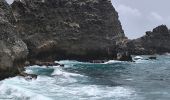 Trail Walking Saint-François - Guadeloupe - Pointe des Châteaux (2024) - Photo 12