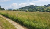 Excursión Senderismo Saint-Nizier-du-Moucherotte - Tour de Saint-Nizier par le Tremplin et la Combe de La Jaille - Photo 1