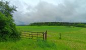 Trail Walking Hamoir - comblain la tour . xhygnesse . comblain fairon . comblain la tour - Photo 14
