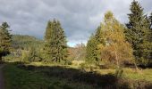 Randonnée Marche Schirmeck - Schirmeck - sentier du Colbéry - Photo 8