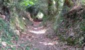 Trail Walking La Gacilly - La GACILLY - Photo 1