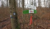 Randonnée A pied Bad Mergentheim - Liebliches Taubertal 15 - Photo 2