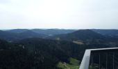 Trail Walking Oppenau - 2023-04-10 Maisach-Turmsteig  - Photo 20