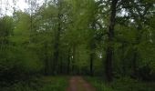 Trail Walking Virton - Lamorteau  -  Balade_VTT_28kms - Photo 6