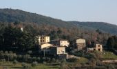 Tocht Te voet Gaiole in Chianti - Trekking tra i castelli 8 - Photo 10