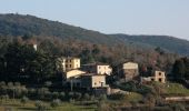 Tour Zu Fuß Gaiole in Chianti - Trekking tra i castelli 8 - Photo 10