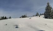 Tour Schneeschuhwandern Gex - La Faucille_Montrond 11km 20200220 - Photo 2