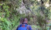 Tocht Stappen Santana - Levada  - Photo 15