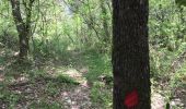 Percorso Marcia Toetto di Boglio - Touet sur Var - Photo 1