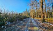 Tocht Stappen Profondeville - La promenade du bois de Nimes à Lustin - Profondeville - Photo 14