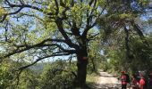 Percorso Marcia La Bastide - Tour Lachens  - Photo 4