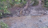 Trail Walking Cormeilles - cormeilles - Photo 19