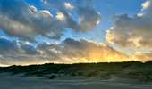 Excursión Senderismo De Panne - De Panne - Photo 9