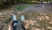 Trail Horseback riding Habay - Marbehan 9 octobre 2022e - Photo 10
