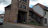 Tour Rennrad Isenheim - EXT-65 Issenheim-01 - Photo 4