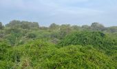 Tour Wandern Koksijde - 79.105 Oostduinkerke  - Astrid- Astridwandelin - Photo 2