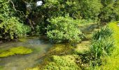 Tocht Stappen Moncontour - VIENNE / LA SENTE DIVINE: SAINT CHARTRES - LA GRIMAUDIERE - Photo 1