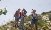 Trail Walking Andon - Les  Lys Pomponne de la montagne de Thiey - Photo 2