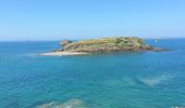 Trail Walking Saint-Malo - Saint-Malo - 7.7km 110m 3h00 - 2017 06 18 - Photo 4